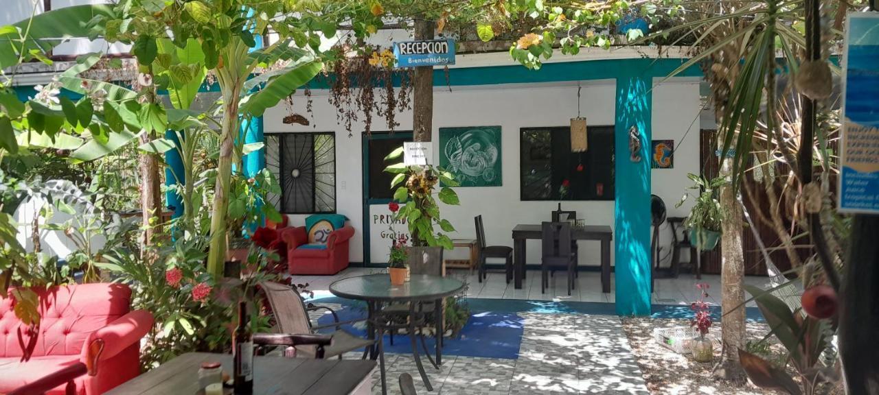 Cabinas Del Mar Sámara Kültér fotó