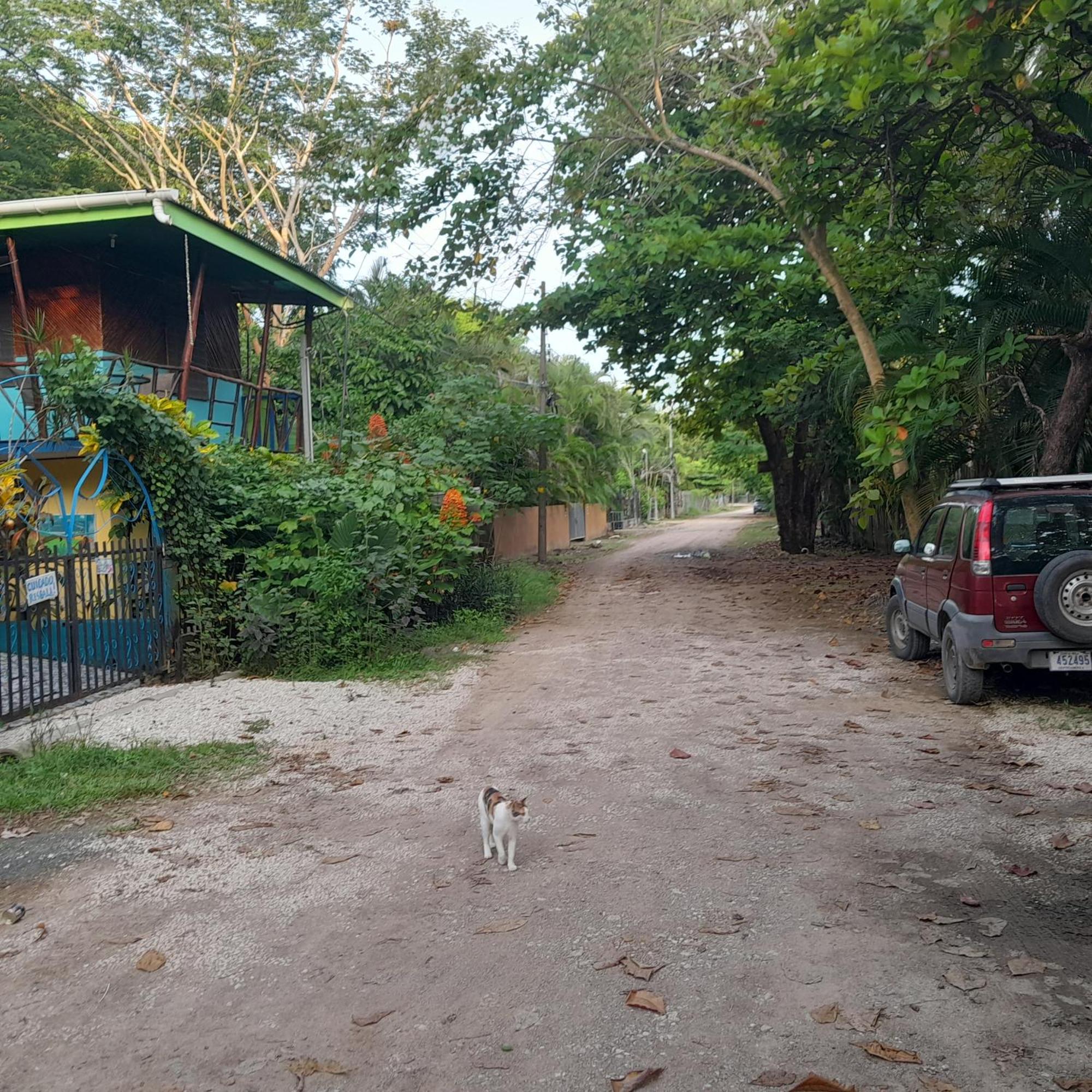 Cabinas Del Mar Sámara Kültér fotó